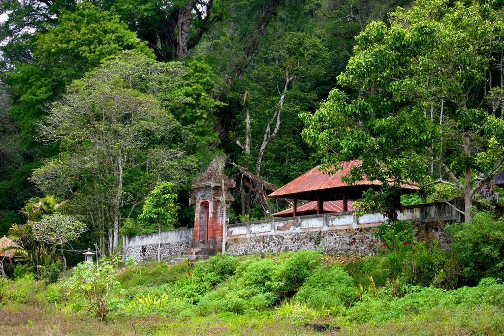 Hotel Bali Bening Munduk Exterior foto